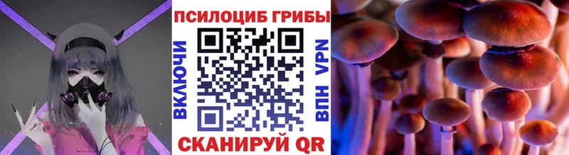 Галлюциногенные грибы прущие грибы  Купить где  Камбарка 